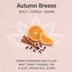 Autumn Breeze