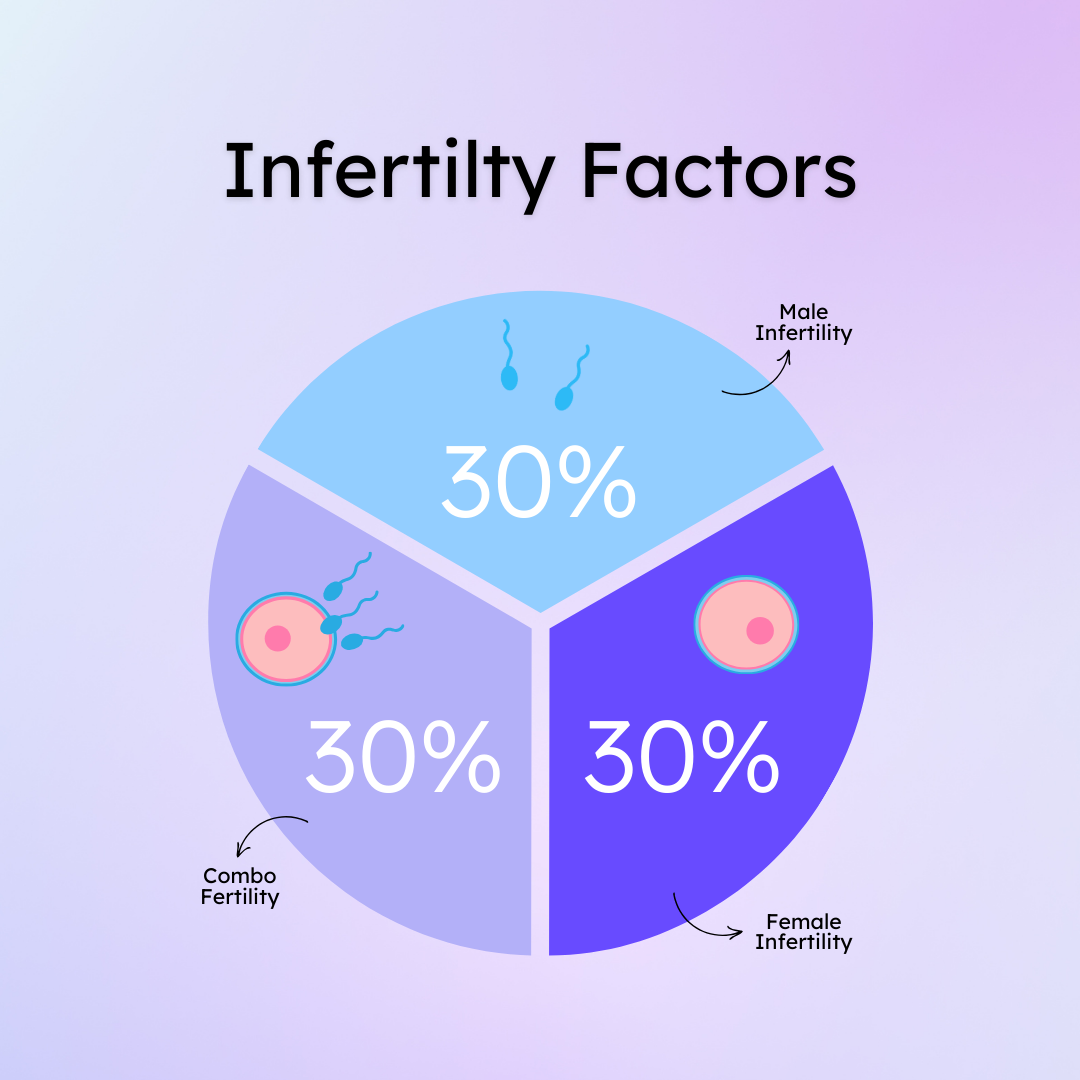 Hers and His Advanced Fertility Test kit by Proov, featuring testing devices and instructions for couples' fertility assessment.
