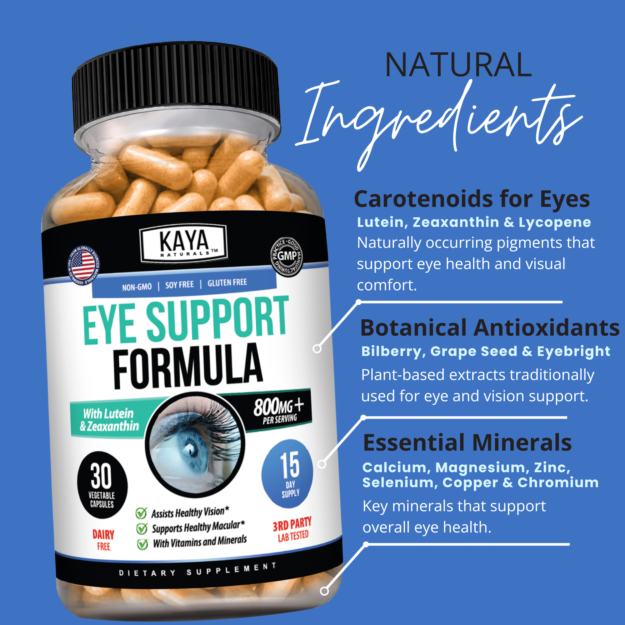 Eye Support Formula