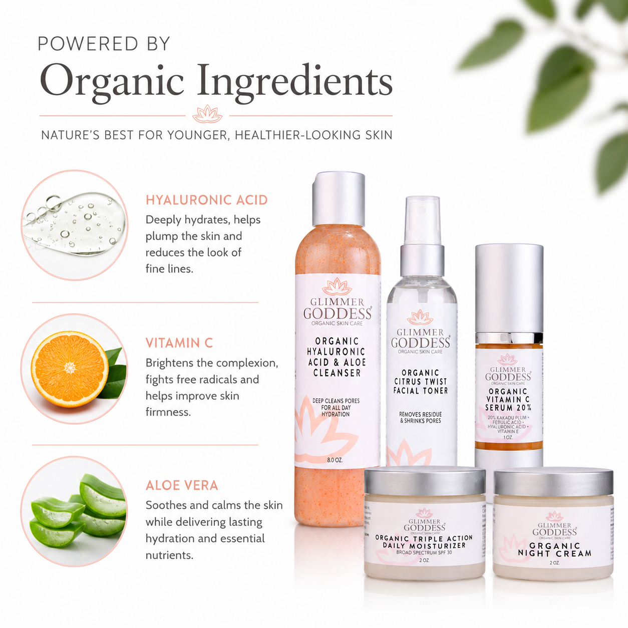 Complete Organic Anti-Wrinkle 5-Step Kit with Vitamin C & SPF 30