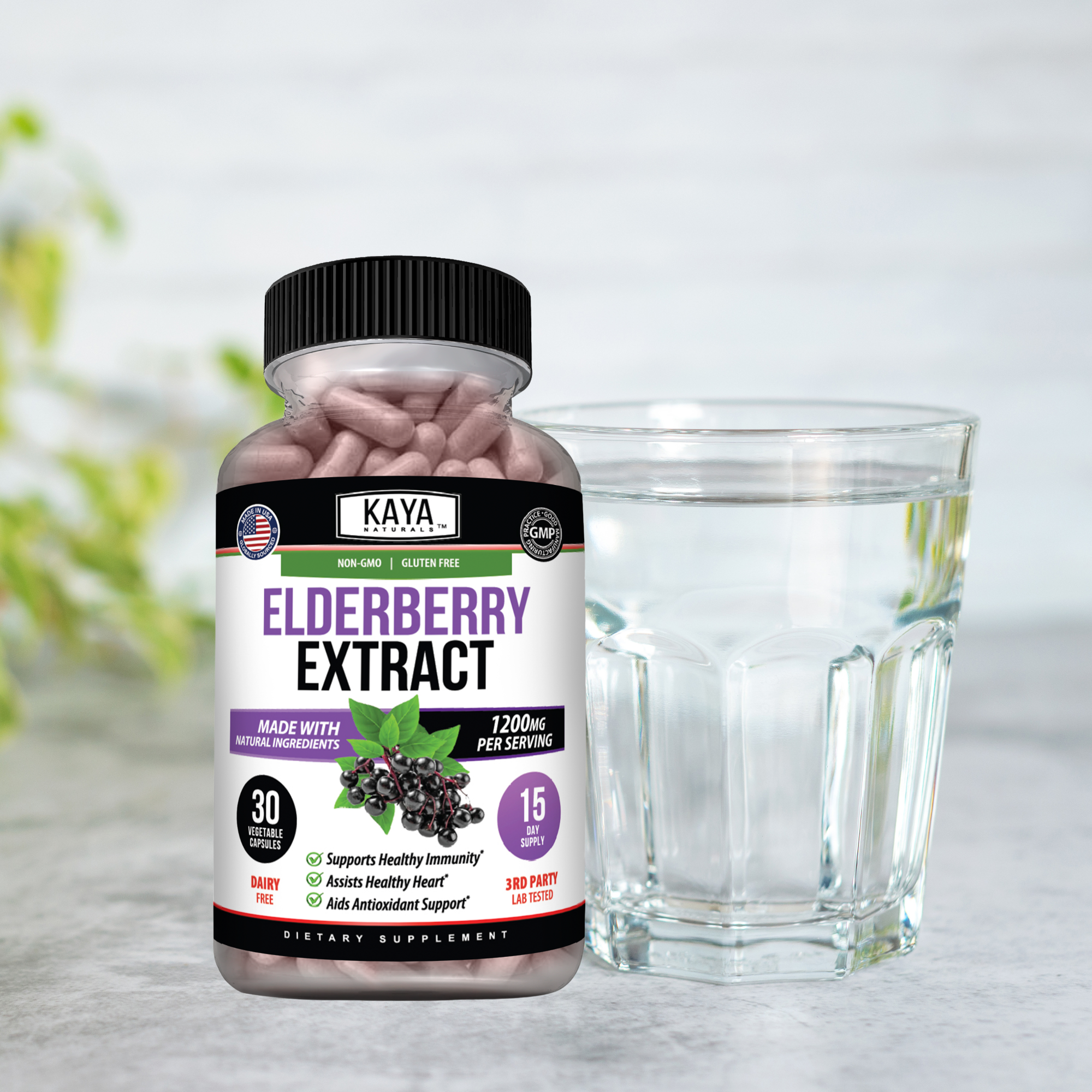 Elderberry Extract