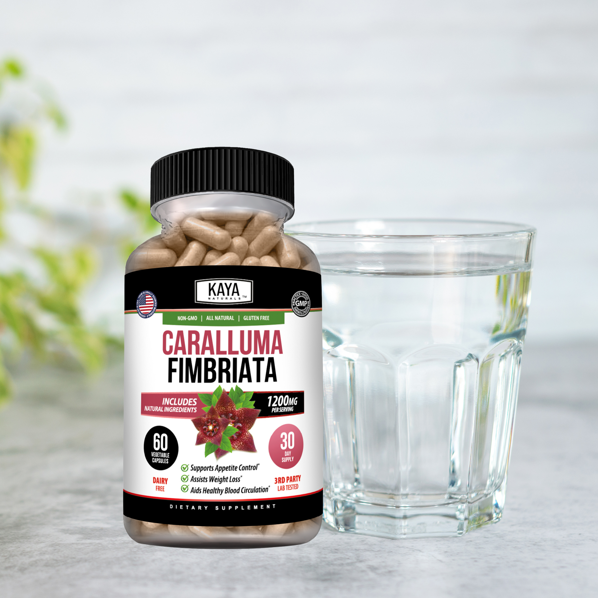 Caralluma Fimbriata - Appetite Support
