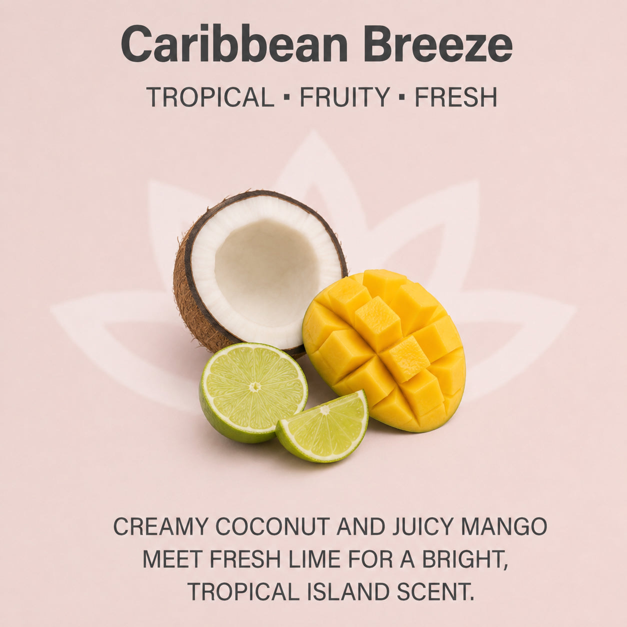 Organic Whipped Body Butter for Extremely Dry Skin 8 oz.