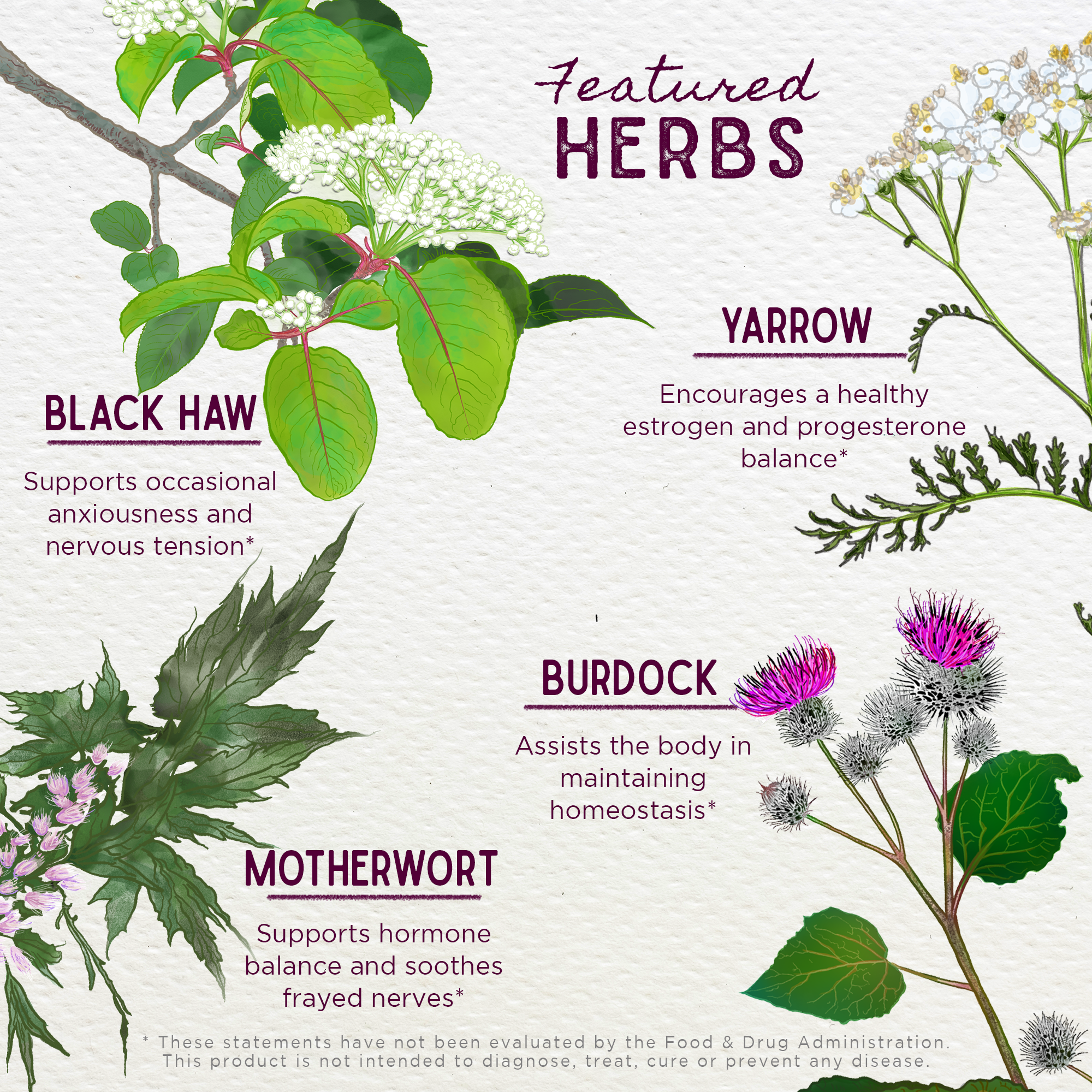 Postpartum ReBalance herbal supplement by WishGarden Herbs, featuring natural herbs for hormonal support after birth.