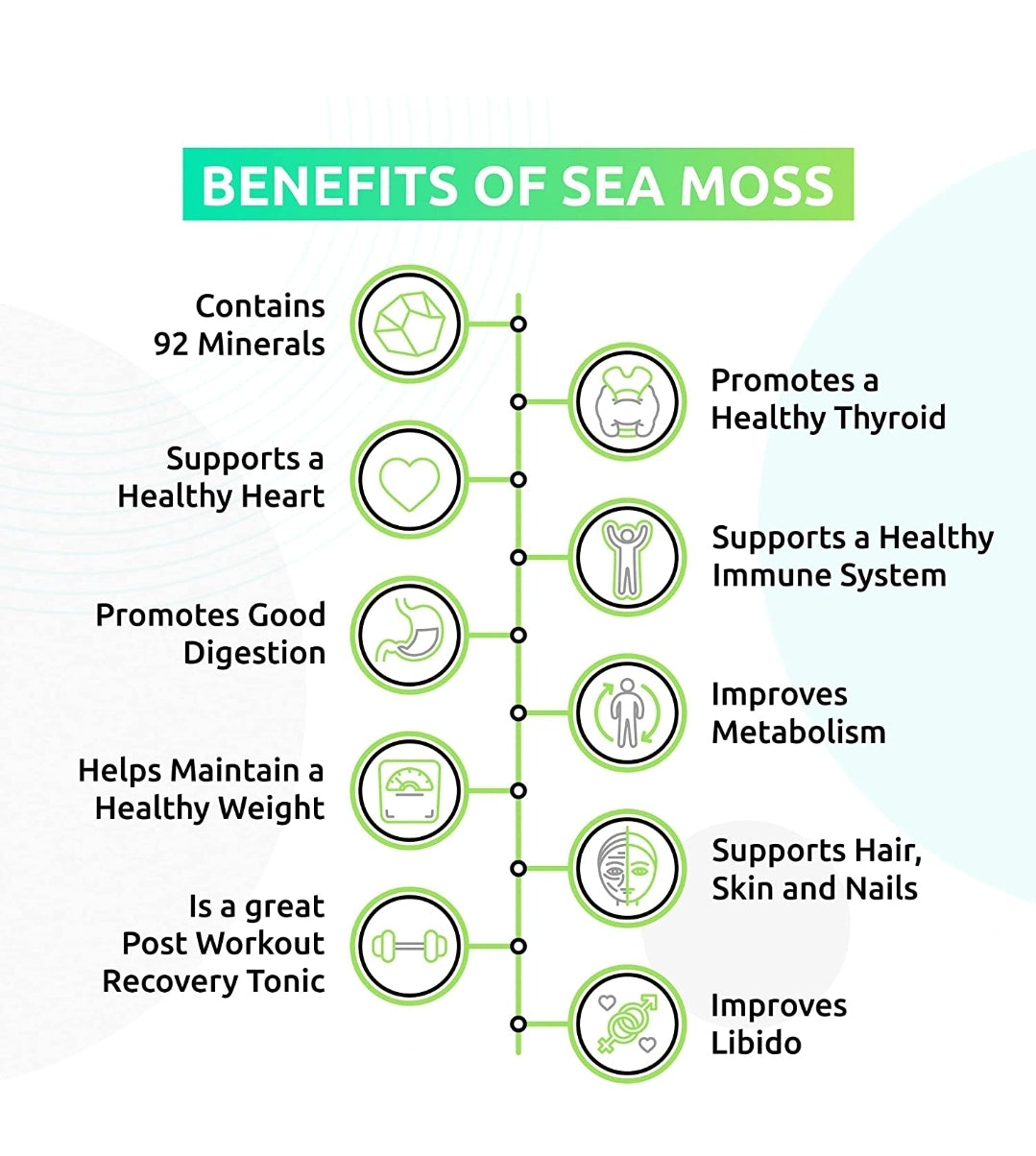 Purple Sea Moss with Elderberry & Burdock Root – Superfood for Immunity, Gut, Skin & Heart Health