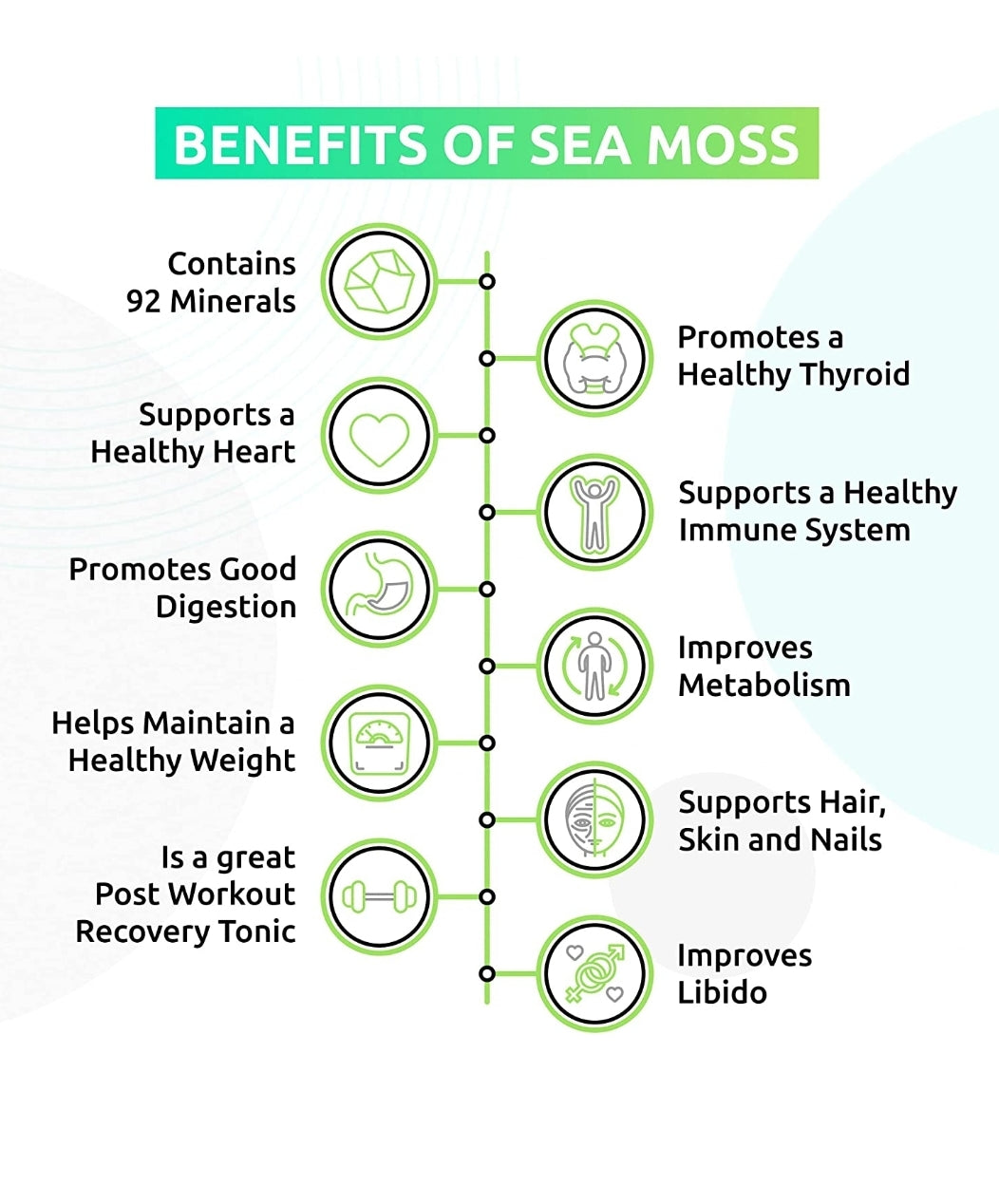 Elderberry Infused Sea Moss Gel | 3 Jar Special – Immunity, Energy & Skin Support