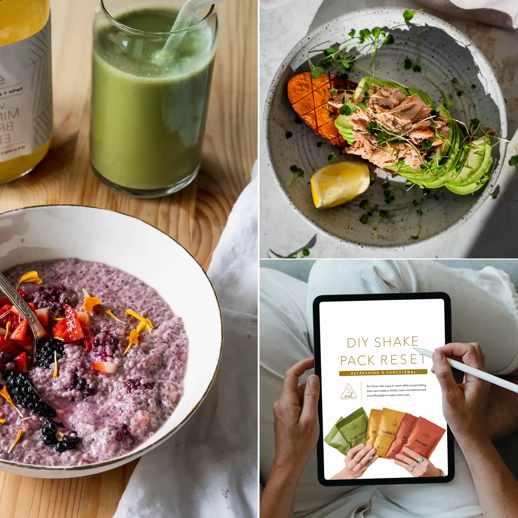 OWL Venice 4-Day Shake Reset cleanse pack with four nutritious meal replacement shakes in a convenient package.