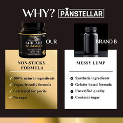 Panstellar Essentials Pure Himalayan Shilajit Gummies 1500mg, bottle of 90 gummies