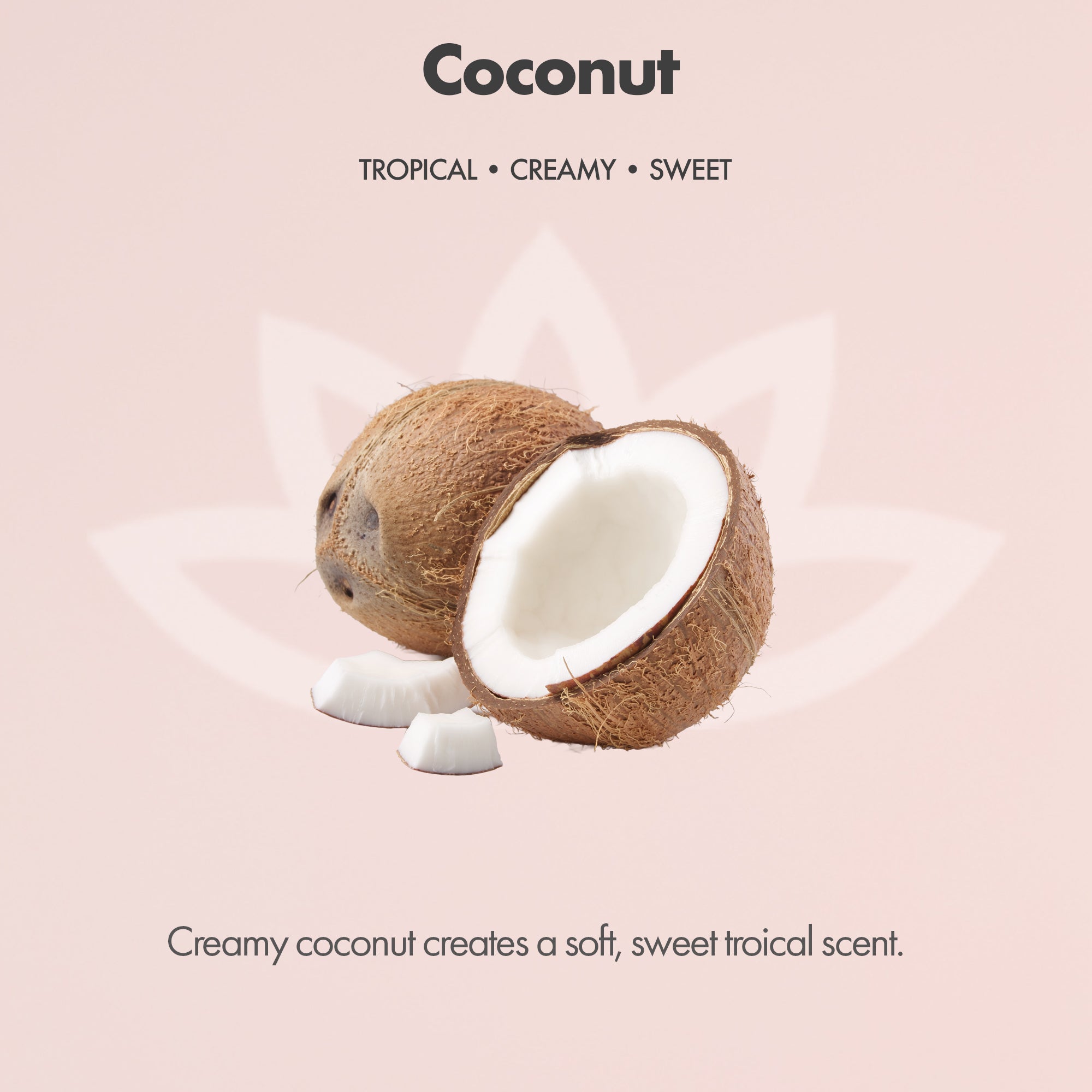 Organic Whipped Body Butter for Extremely Dry Skin 8 oz.