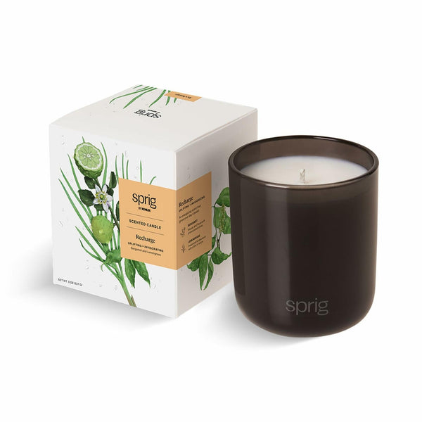 Sprig by Kohler Recharge aromatherapy candle with bergamot and lemongrass in an 8 oz glass jar, ideal for relaxing ambiance.