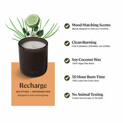 Sprig by Kohler Recharge aromatherapy candle with bergamot and lemongrass, 8 oz, in a glass container.