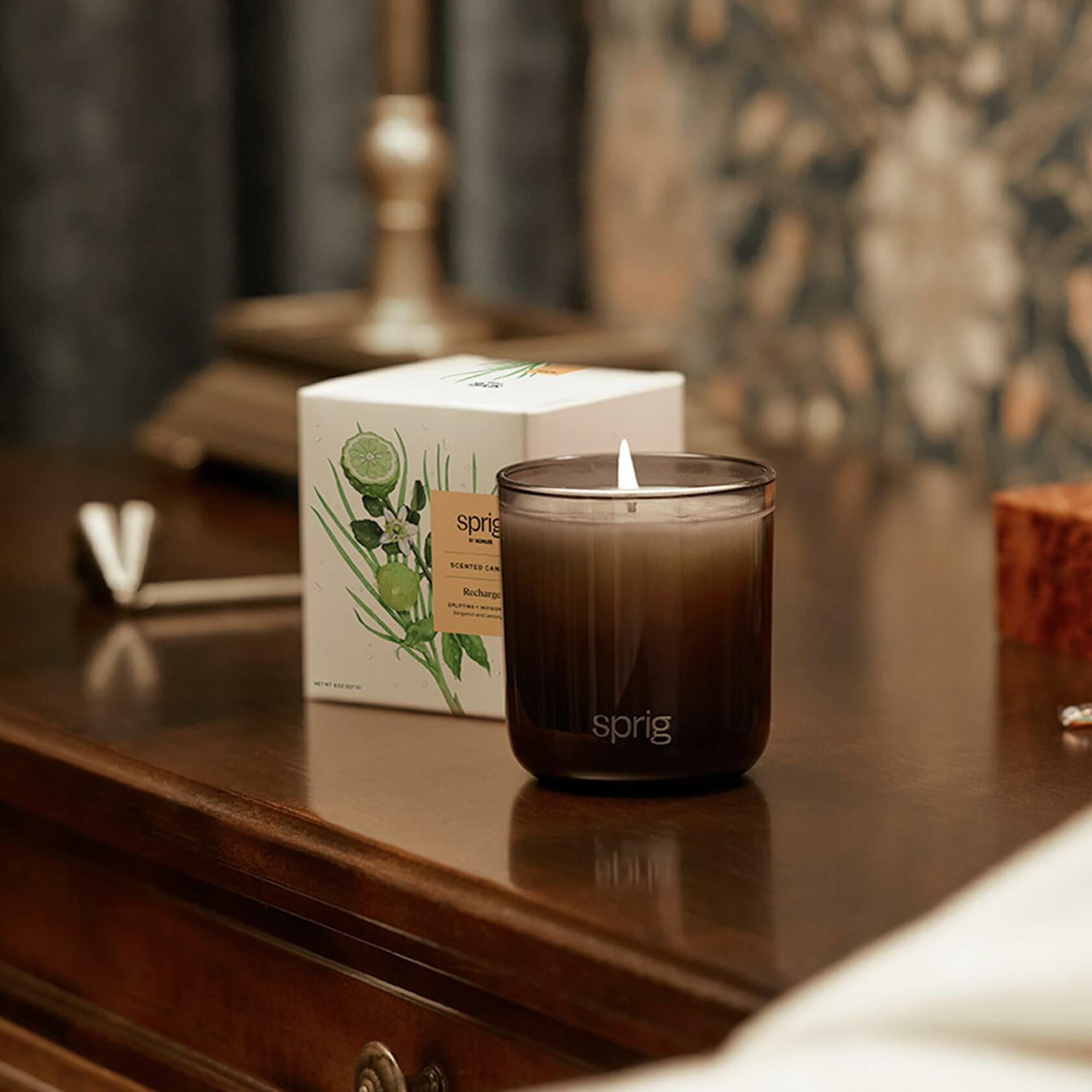 Sprig by Kohler Recharge Aromatherapy Candle with Bergamot and Lemongrass in an 8 oz glass jar, featuring a natural candle design.