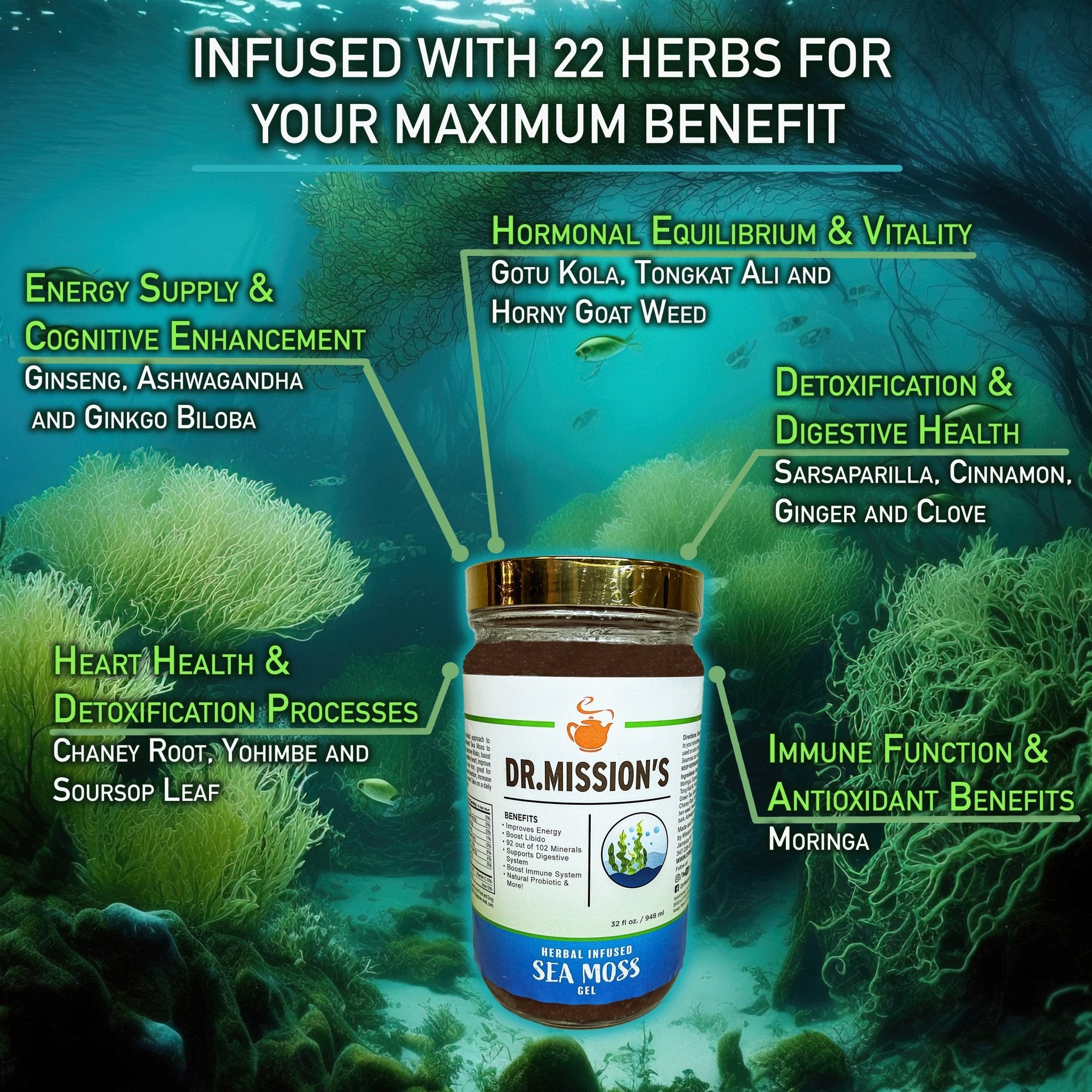 Dr. Mission Sea Moss Gel by VeggieVerve, a natural energy boost supplement in a jar with sea moss gel visible inside.