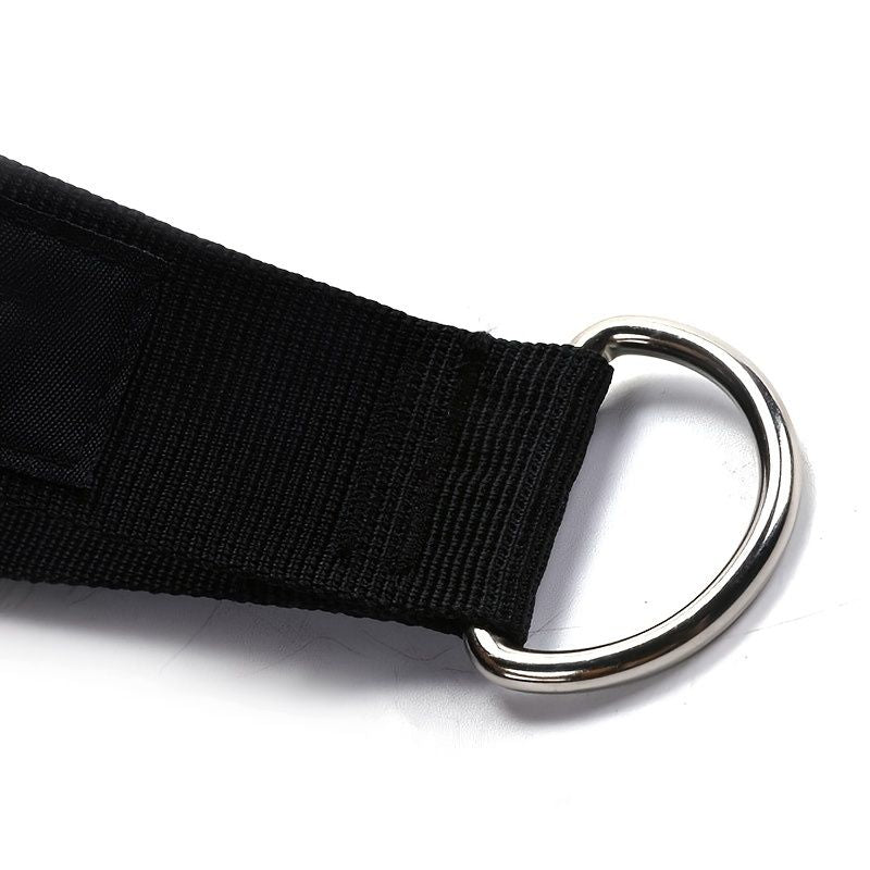 Berry Charmz 2-pack heavy duty exercise handles with carabiners, grip attachments for cable machine pulleys and resistance band workouts.