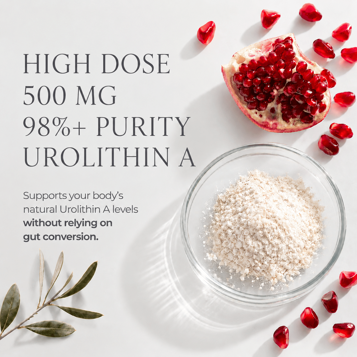 Berry Charmz Urolithin A supplement softgels, 500mg, for cellular renewal and healthy aging, shown in a close-up image.