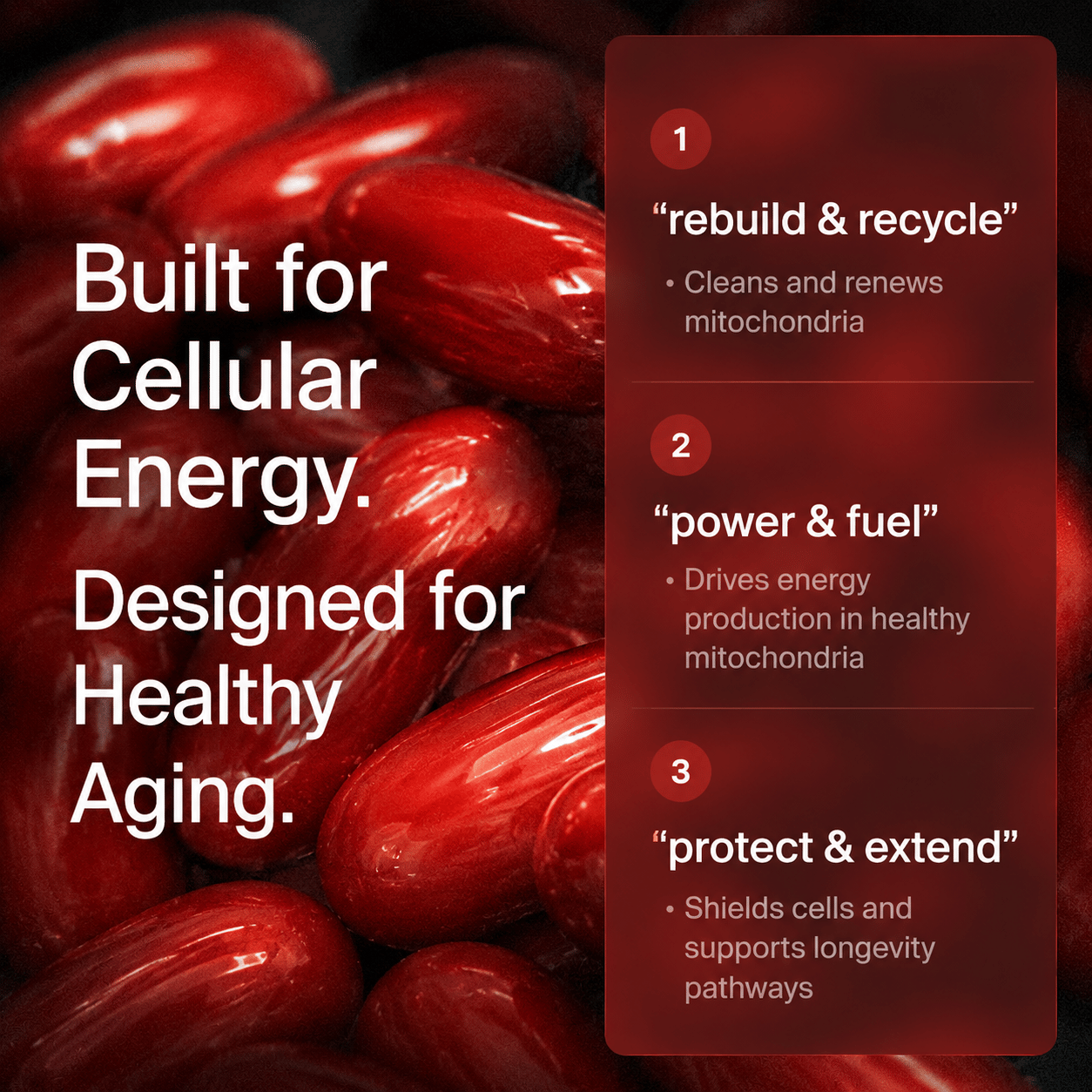 Berry Charmz Urolithin A supplement softgels, 500mg, for cellular renewal and healthy aging, showing softgel capsules on a white background.
