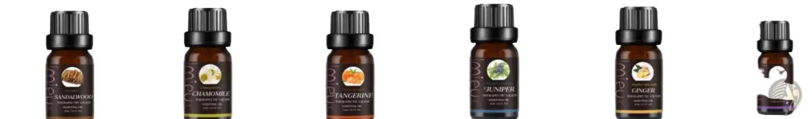 Set of 10ml pure aromatherapy essential oil bottles from ARBA Global, displayed in a collection for beauty and personal care.