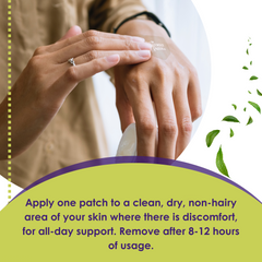 Friendly Patch Co Relief Day Pain Patches with arnica and willow bark, 8-pack, small adhesive patches for daytime pain relief.