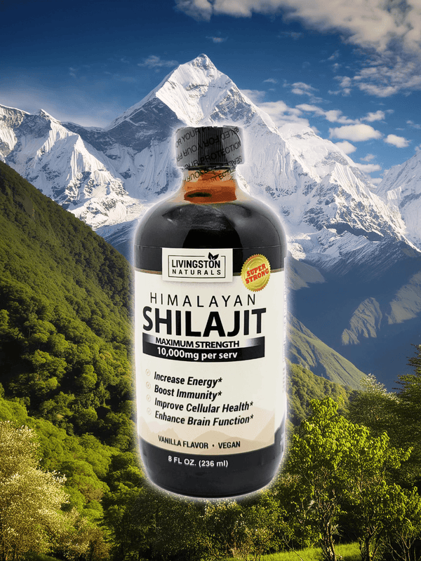 Liquid Himalayan Shilajit by VeggieVerve in a glass dropper bottle, showcasing the dark, thick extract used for health and wellness.
