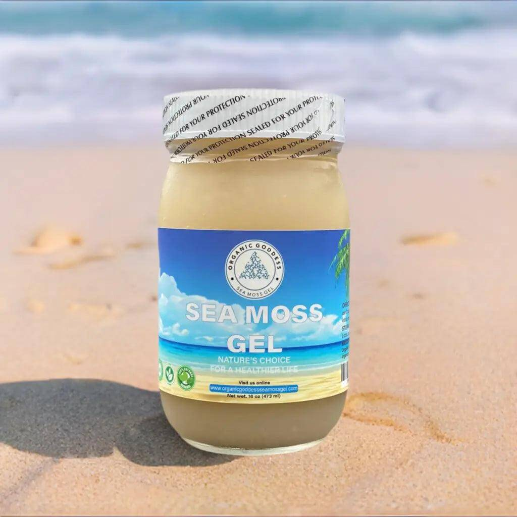 Organic Goddess Sea Moss Gel in an 8oz jar, showcasing its golden color and smooth texture, rich in sea moss benefits.
