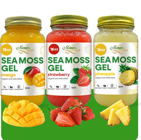 Organic Tropical Sea Moss Gel from Seamoss Depot, 16oz wildcrafted sea moss with 92 vitamins and minerals, in a clear jar.