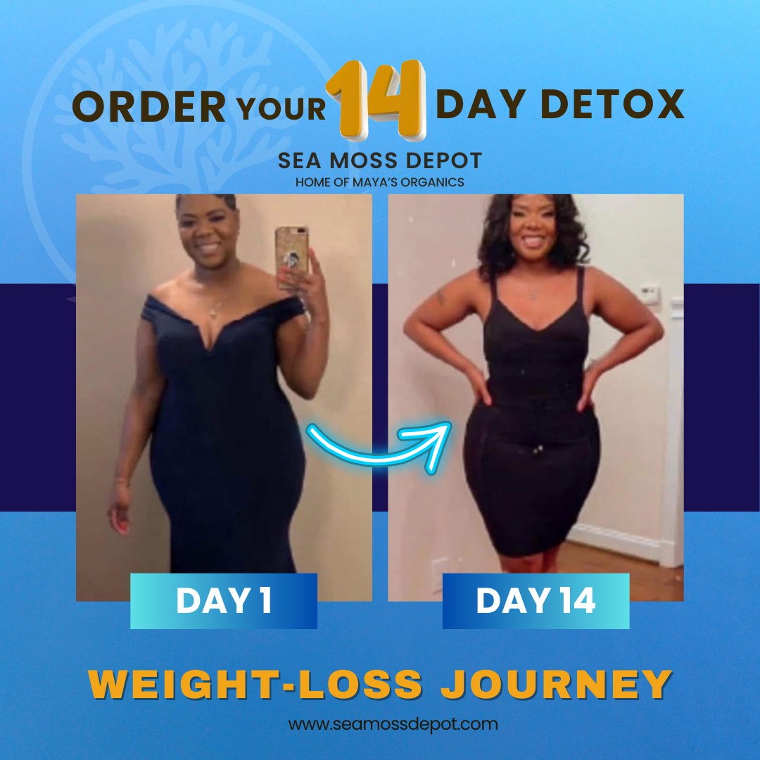 Seamoss Depot detox bundle with Candy Cleanse and Lymphatic Cleanse vitamins and supplements for full body reset.