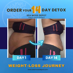 Seamoss Depot Limited Detox Bundle with Candy Cleanse and Lymphatic Cleanse vitamins and supplements for full body reset.