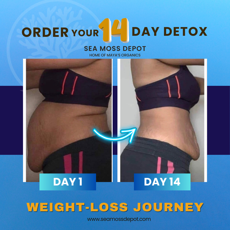 Seamoss Depot Limited Detox Bundle with Candy Cleanse and Lymphatic Cleanse vitamins and supplements for full body reset.