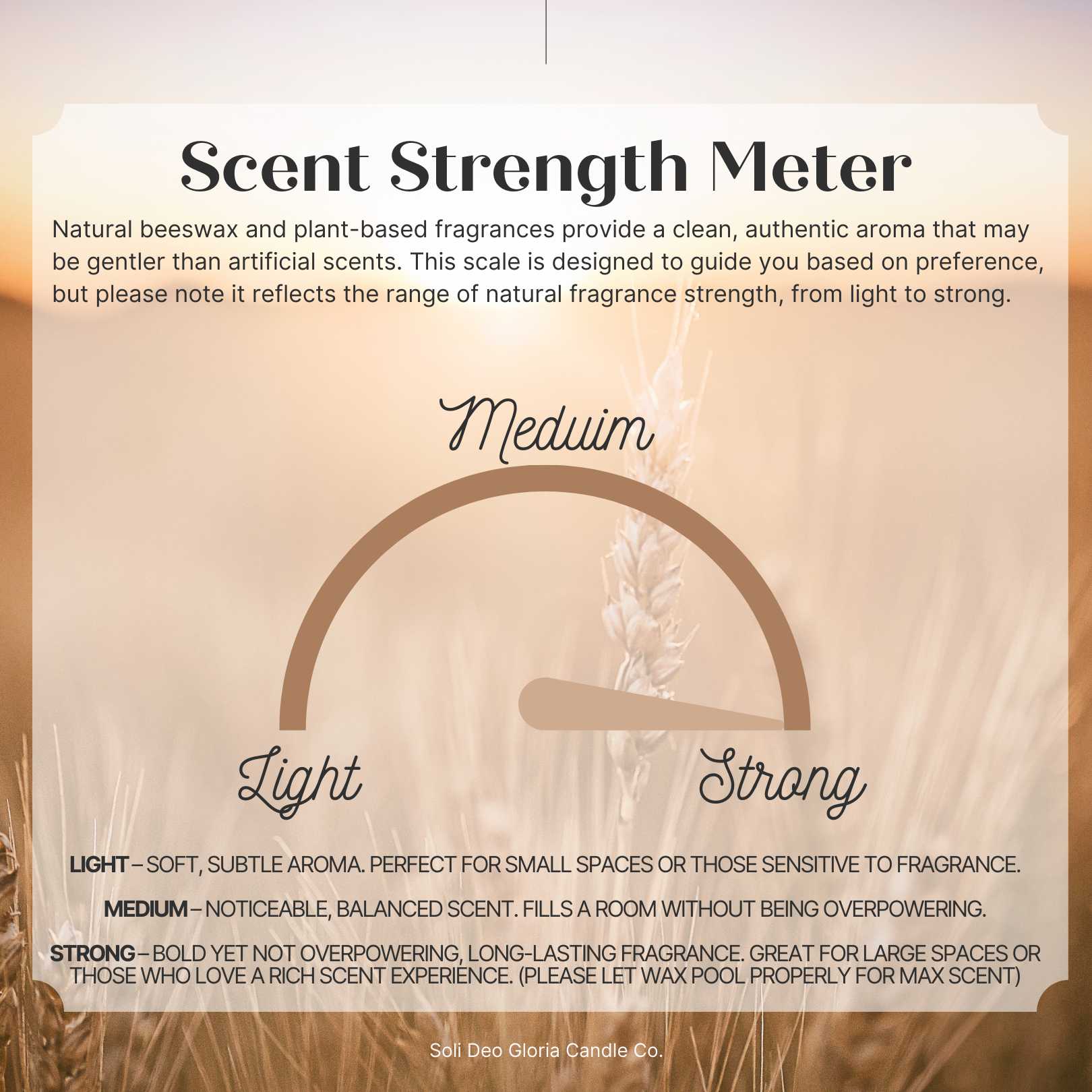 Soli Deo Gloria Candle Company Soothe & Clear sinus relief candle with organic essential oils in amber 7.2oz melt jar.
