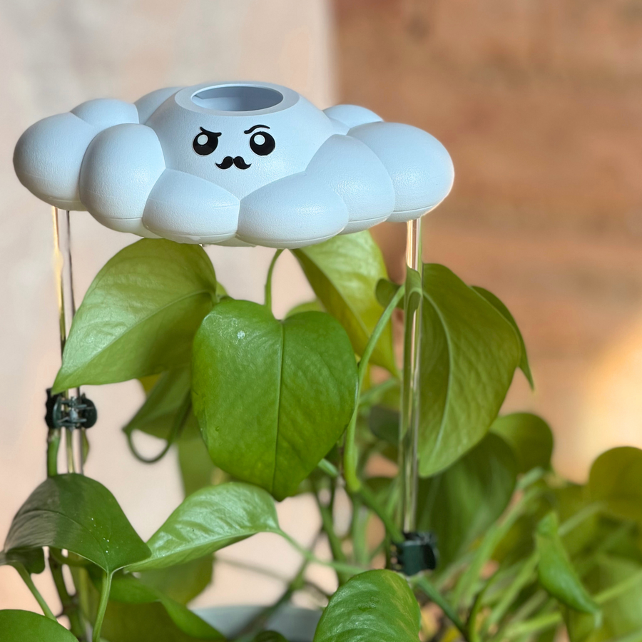 Carl the Cloud house plant accessory by The Cloud Makers, soft white cloud-shaped decorative piece for plants.