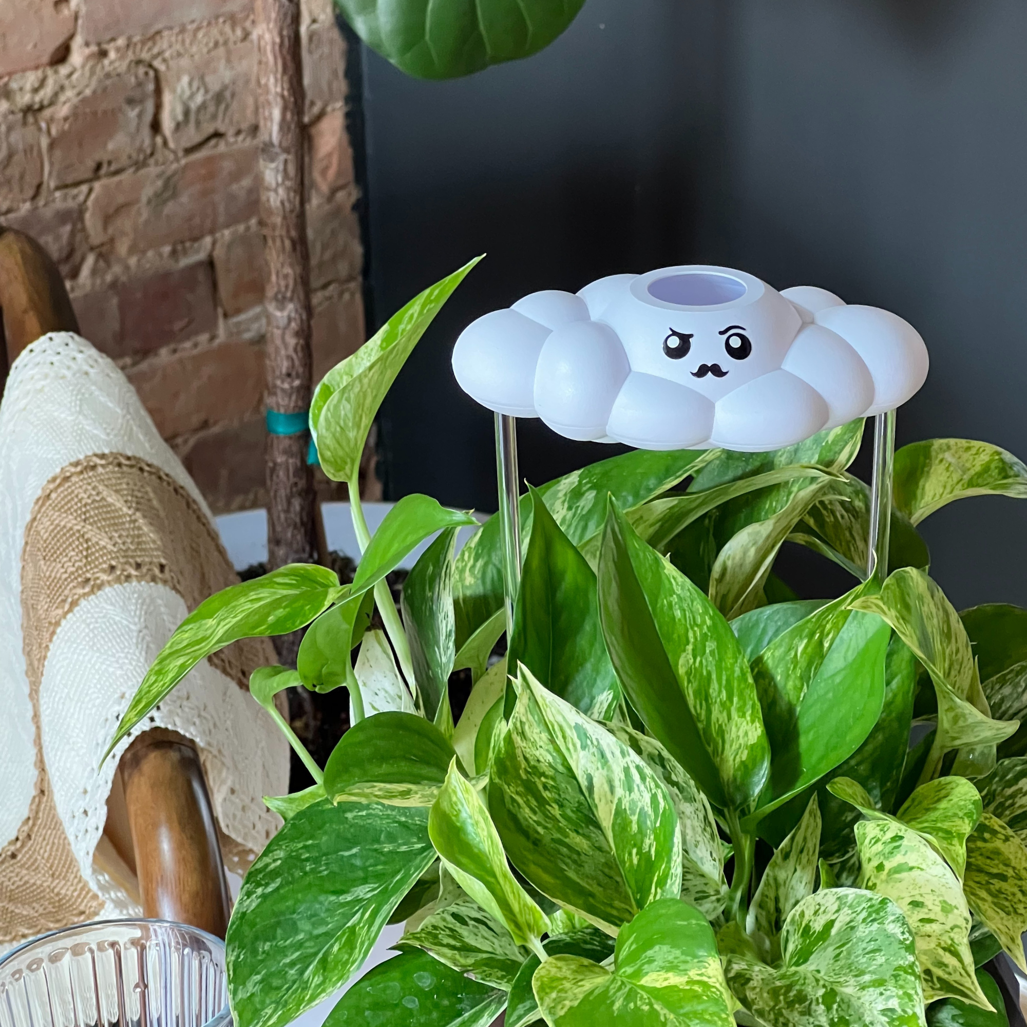 Carl the Cloud house plant accessory by The Cloud Makers, a soft, fluffy cloud-shaped decoration for indoor plants.