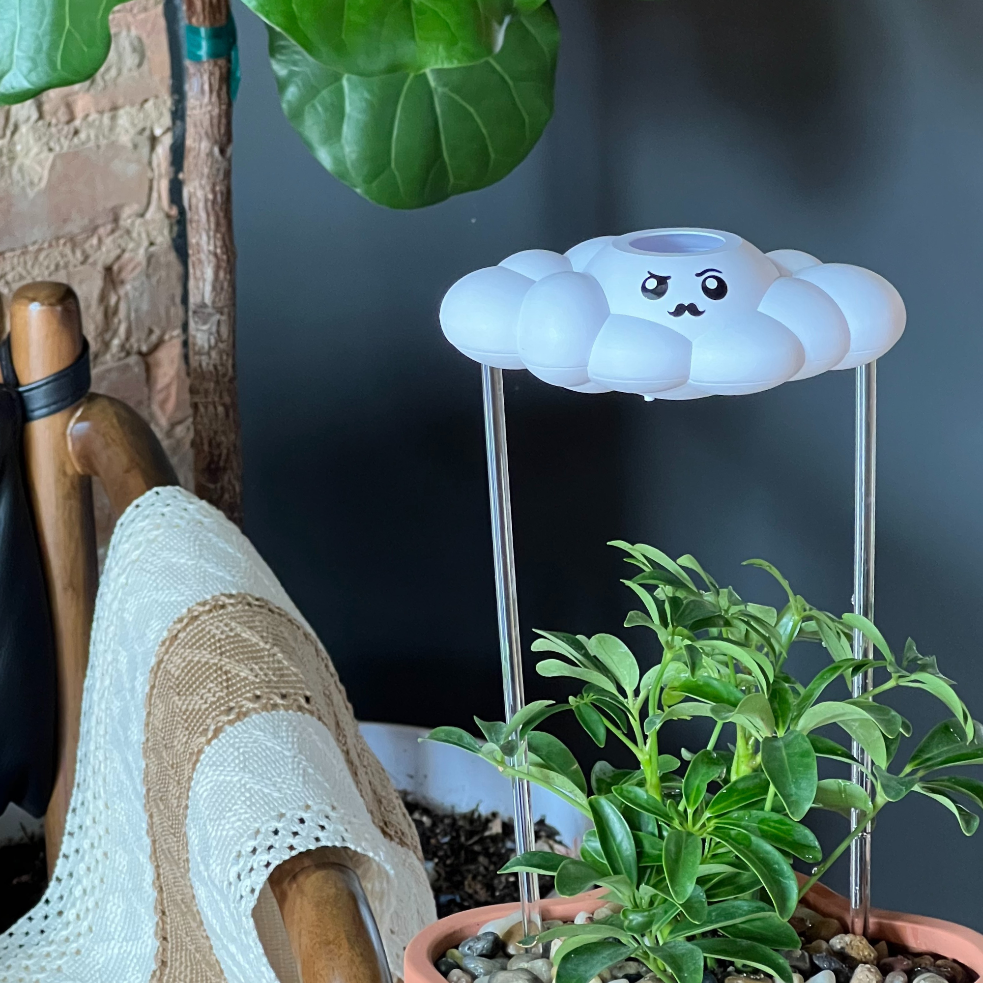 Carl the Cloud house plant accessory by The Cloud Makers, soft cloud-shaped decoration for indoor plants.