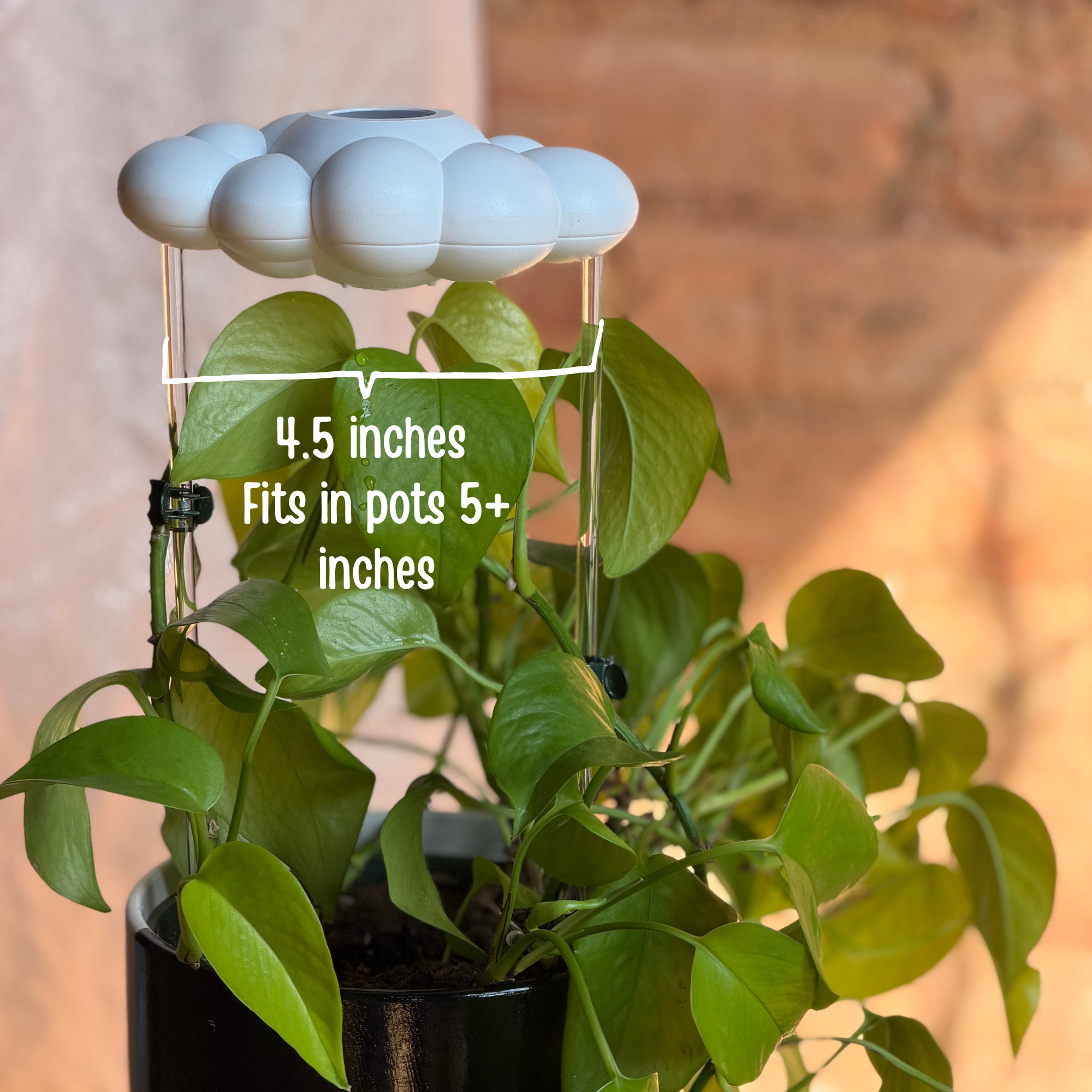 Carl the Cloud house plant accessory by The Cloud Makers, soft white cloud shape with cute facial features for indoor decor