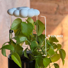 Carl the Cloud house plant accessory by The Cloud Makers, soft white cloud-shaped decor for indoor plants.