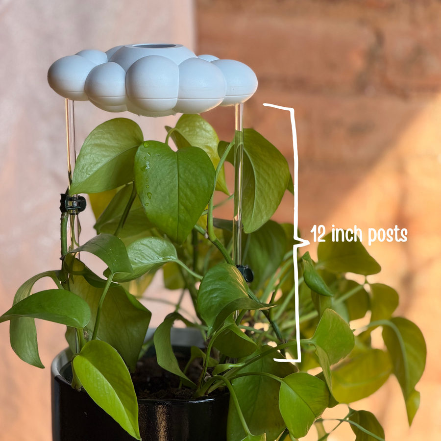 Carl the Cloud house plant accessory by The Cloud Makers, soft white cloud-shaped decor for indoor plants.