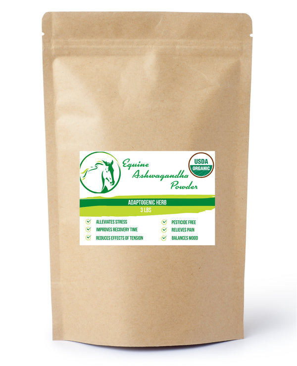 Organic Ashwagandha powder from The Equine Chia in a clear jar, showing the fine, brownish powder inside.