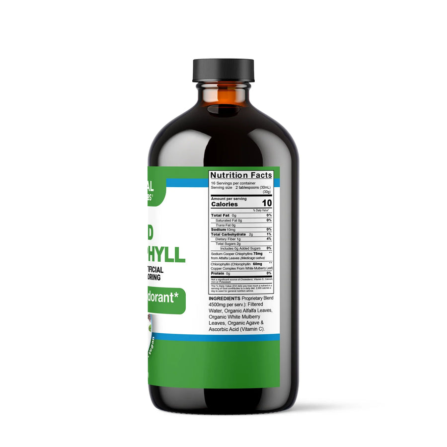 Organic liquid chlorophyll from VeggieVerve in a 16 fl oz bottle, featuring alfalfa and white mulberry botanical blend for detox.