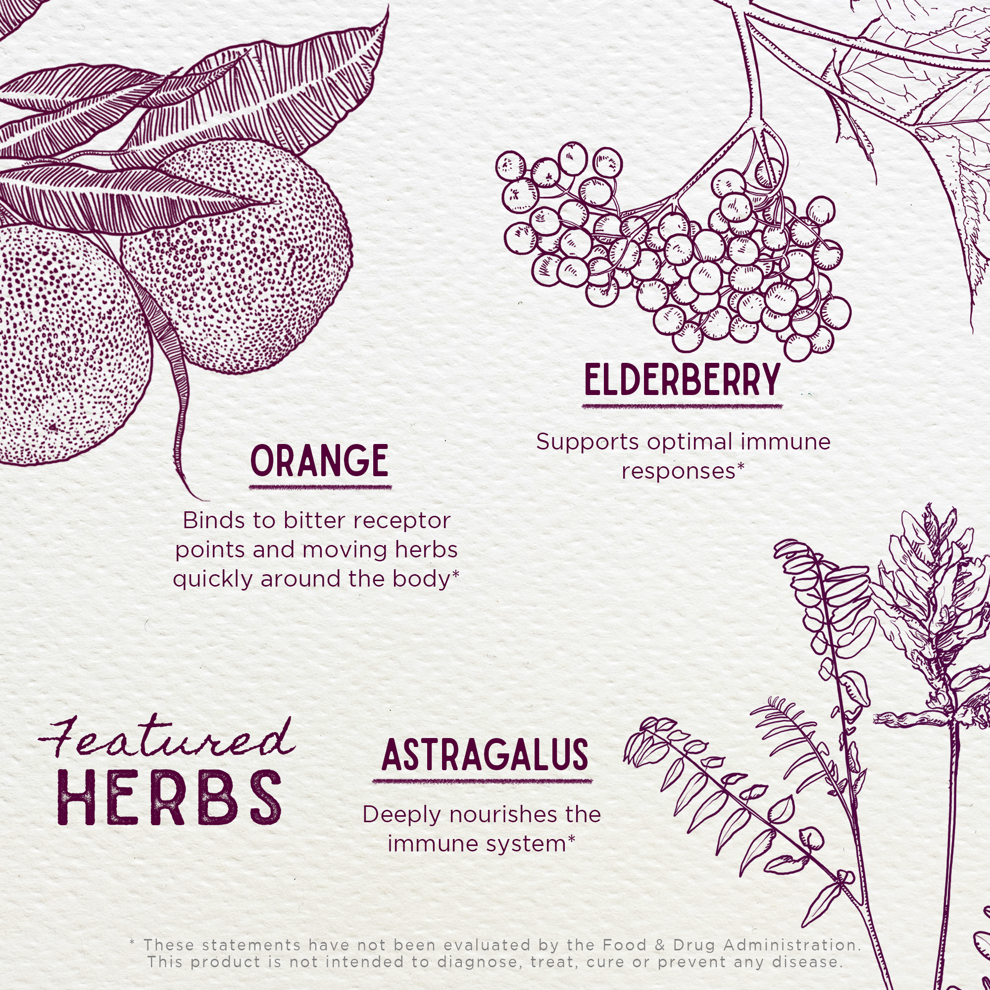 Kids Elderberry Syrup by WishGarden Herbs in a 4oz bottle, featuring a premium herbal botanical blend for children’s immune support.