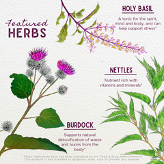 WishGarden Herbs Cycle Changes menopause supplement in a 2oz pump bottle, designed for peri and menopause support.